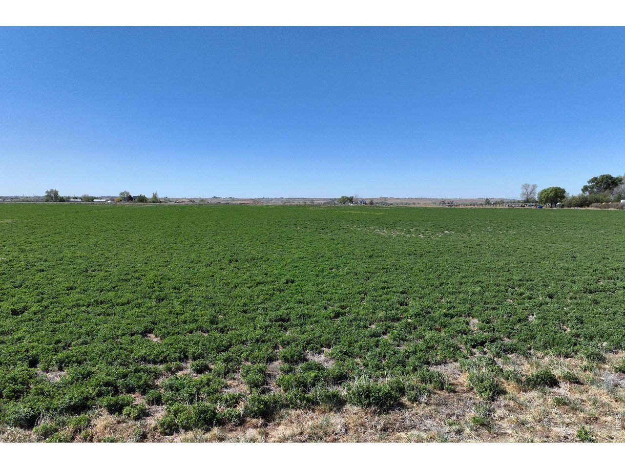 66 County Road Greeley, CO 80631 - Photo 23 of 23