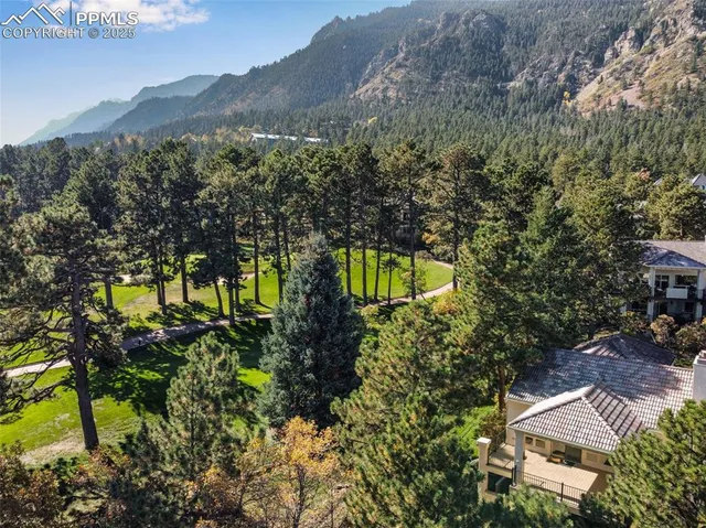 an aerial view of a house with a yard and a large tree