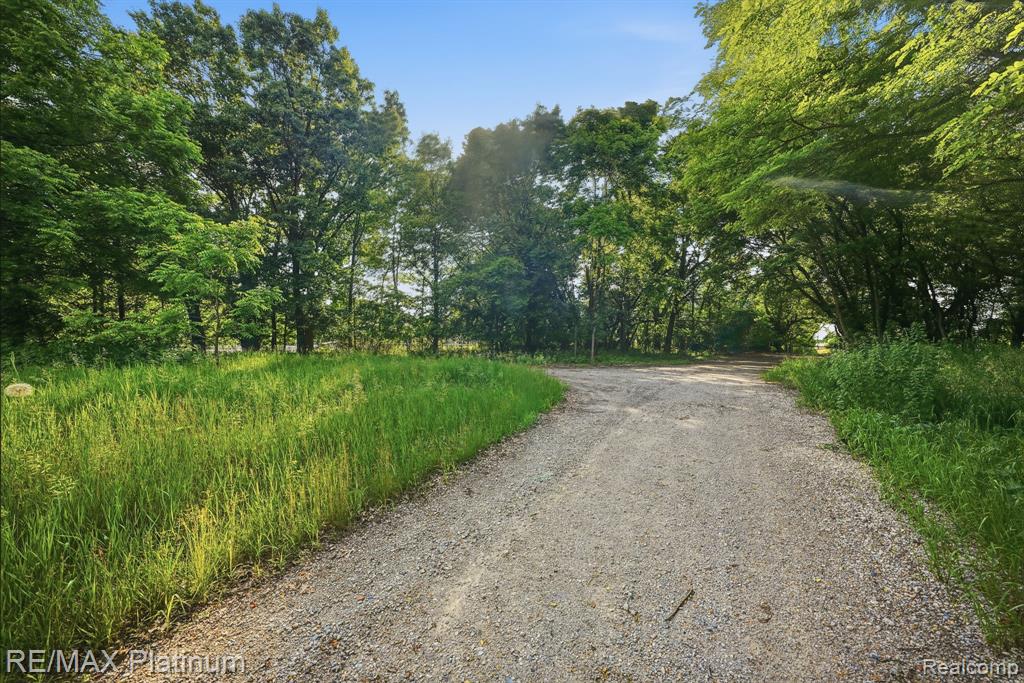 0 Henry Street Howell, MI 48843 - Photo 7 of 20