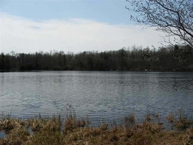 11-12 Feely Lake Road Mercer, WI 54547 - Photo 1 of 14 Gallery Image 1