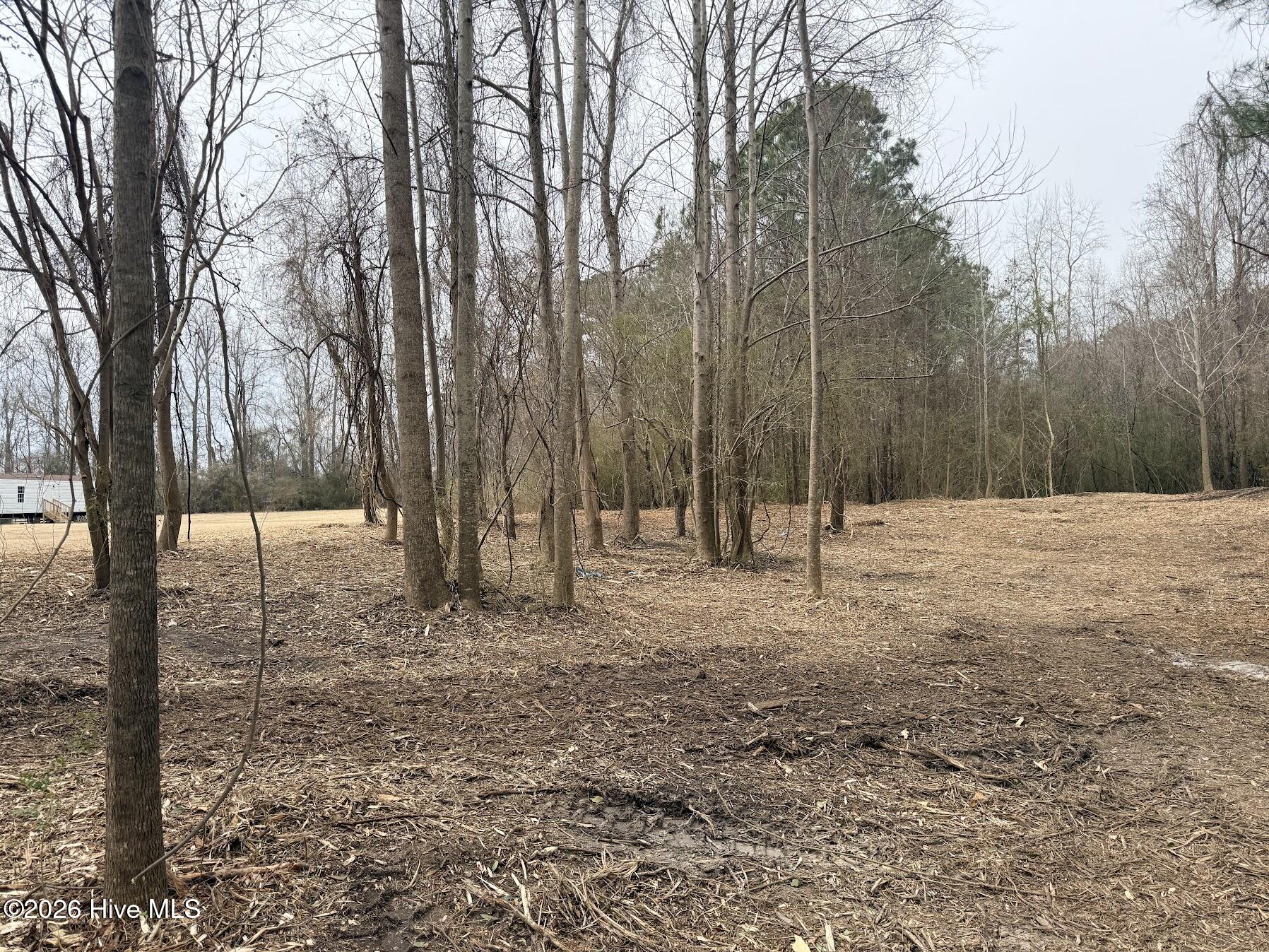 227 Langley Road Chocowinity, NC 27817 - Photo 3 of 16 Photo 12 02.25.2026