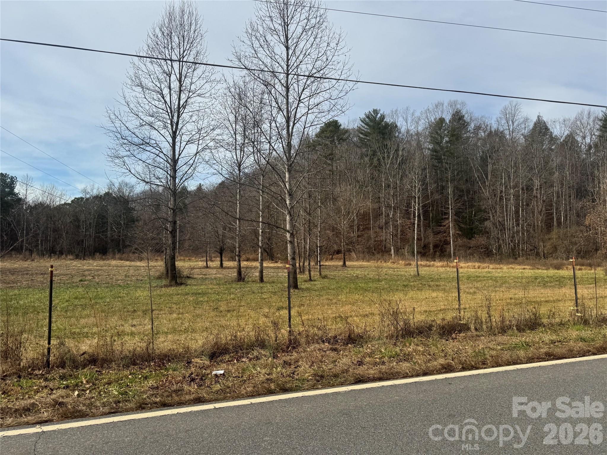V/l Lentz Road Marion, NC 28752 - Photo 4 of 13 a view of a backyard