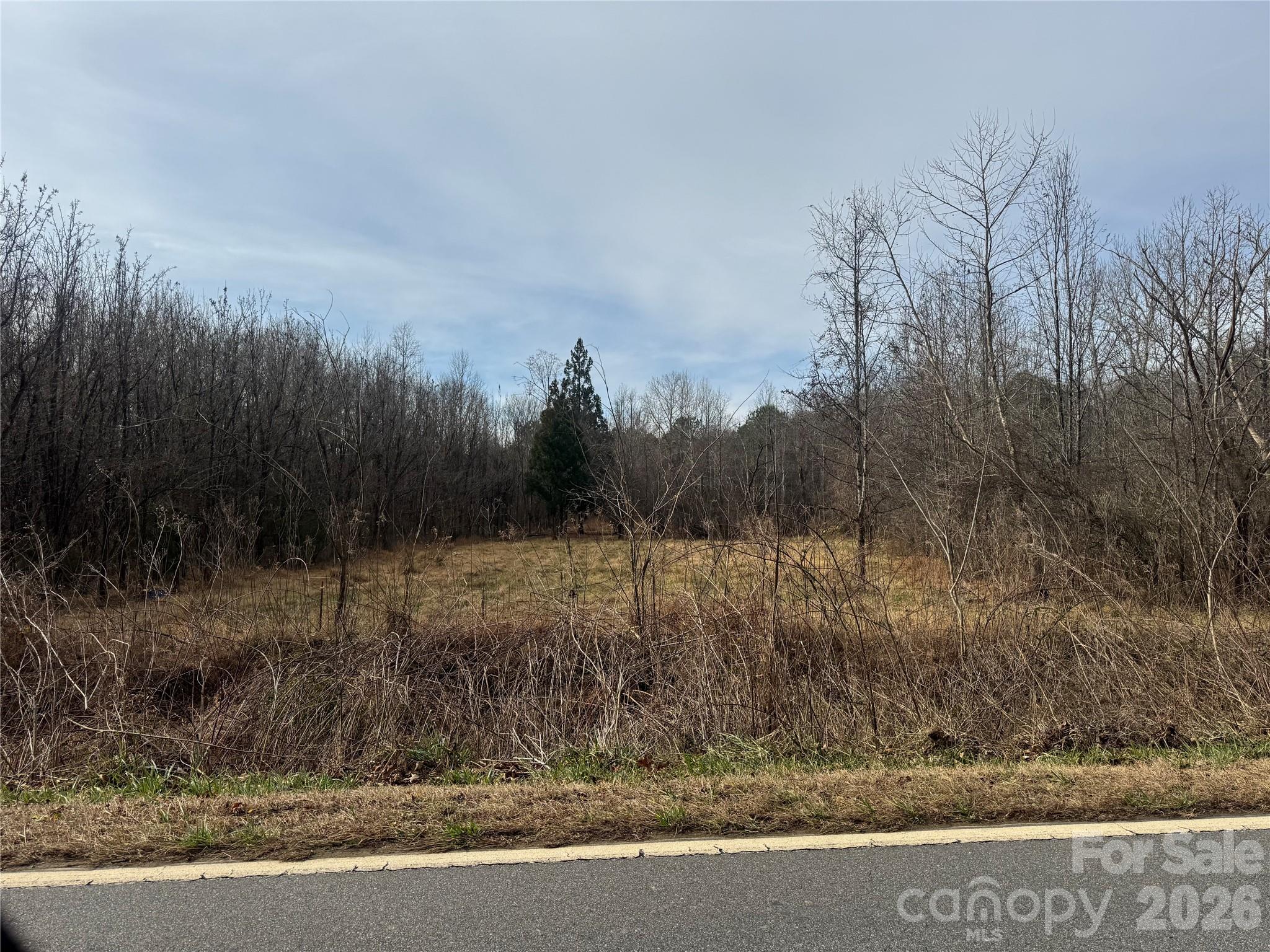 V/l Lentz Road Marion, NC 28752 - Photo 5 of 13 a view of a yard