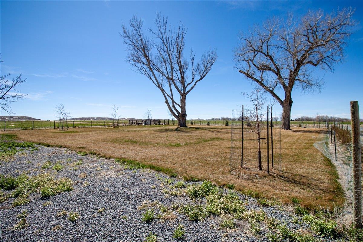 3646 Lane 32 1/2 Shell Wy Shell, WY 82441 - Photo 10 of 42