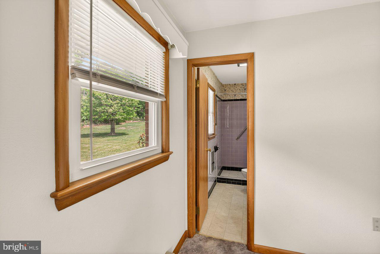 255 Verbena Road Shenandoah, VA 22849 - Photo 19 of 43