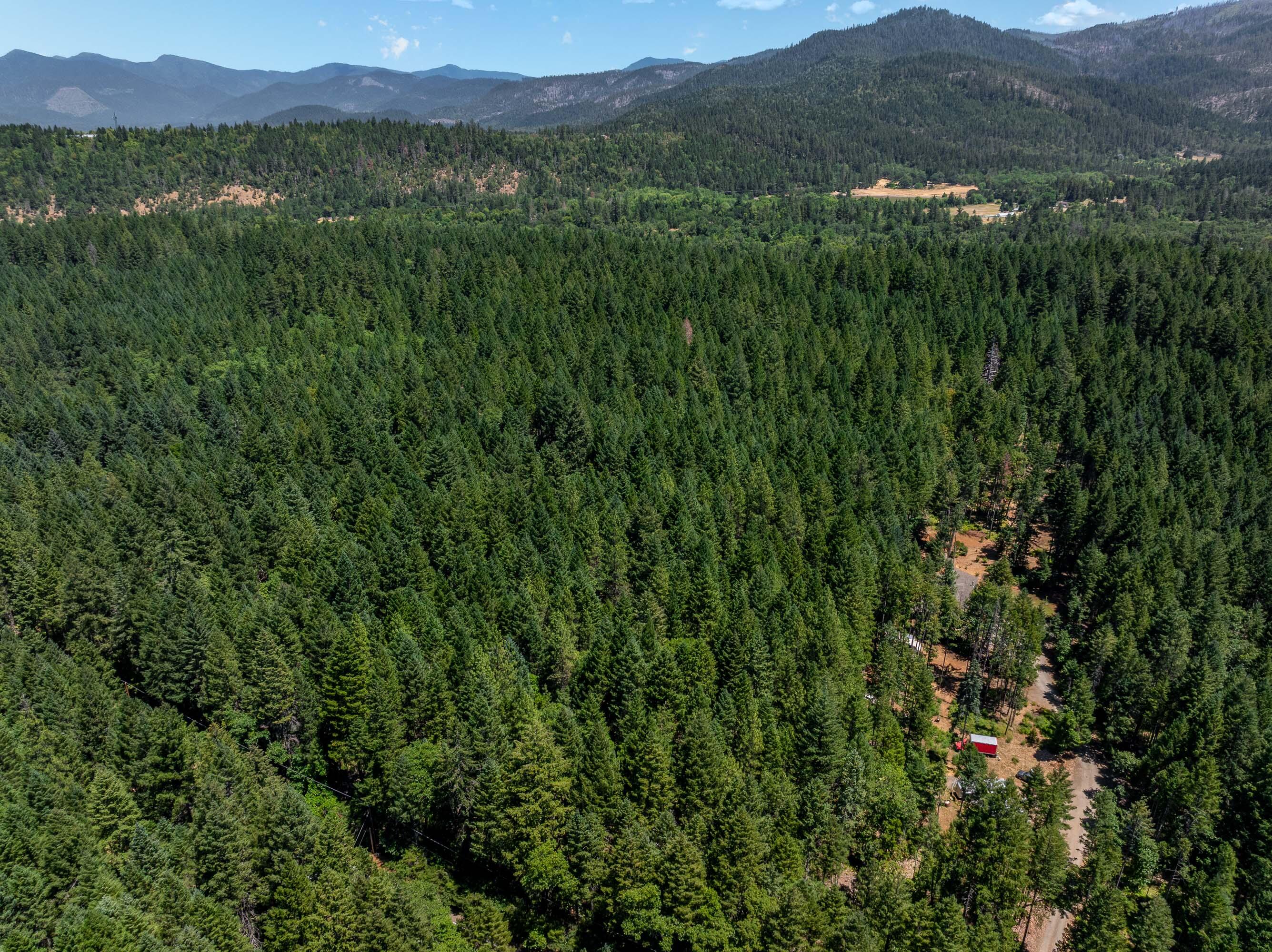7443 Rockydale Road Cave Junction, OR 97523 - Photo 4 of 10 DRONE (3 of 5)