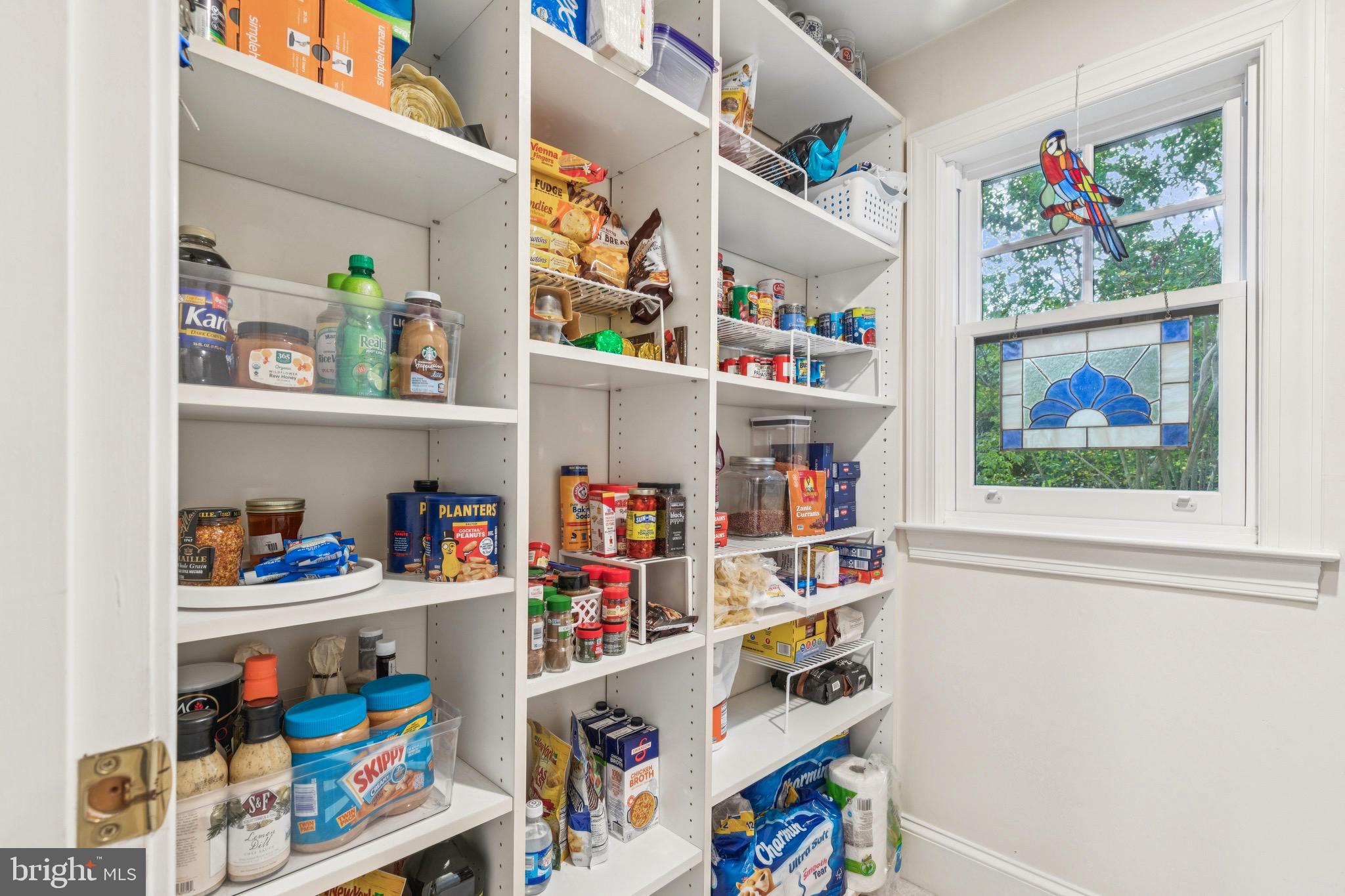 9 Tolson Street Annapolis, MD 21401 - Photo 21 of 82 Large Walk-in pantry / shelving both sides