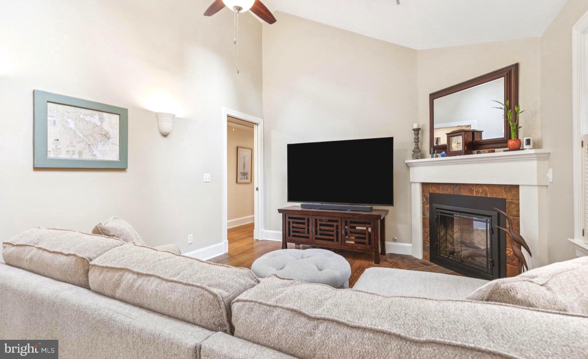 9 Tolson Street Annapolis, MD 21401 - Photo 34 of 82 a living room with furniture a flat screen tv and a fireplace