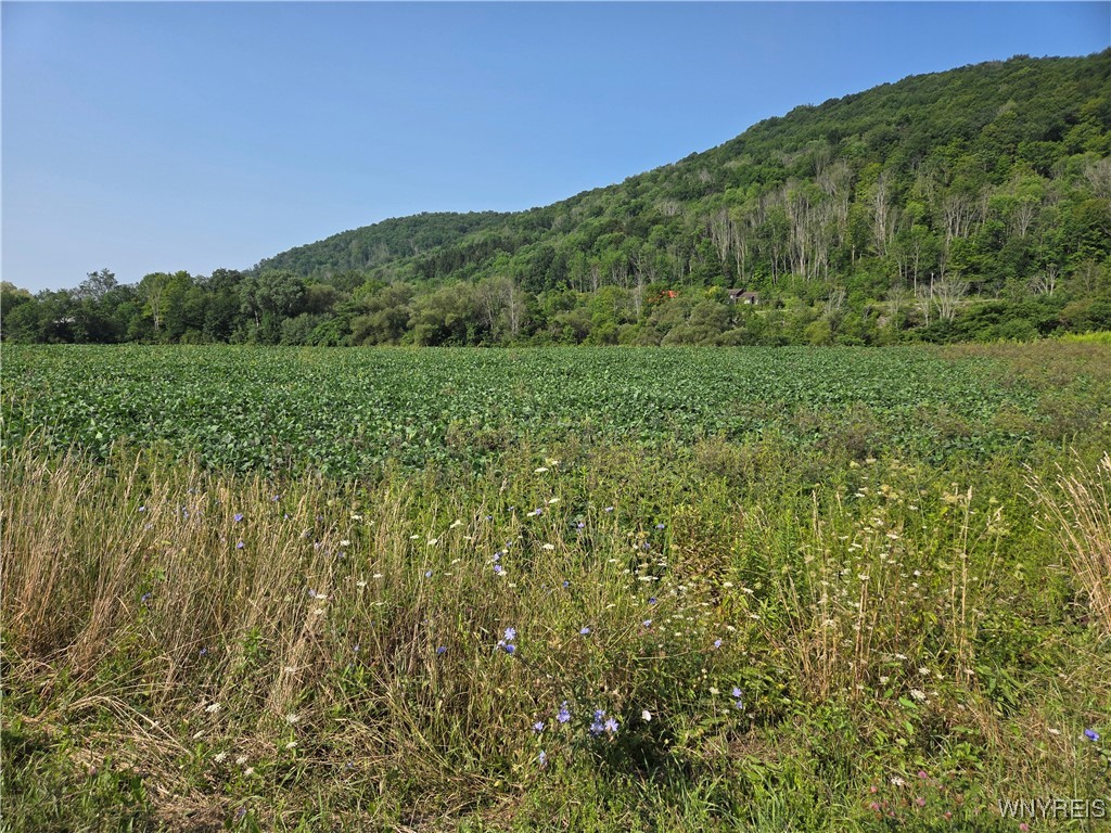 Martin Road Great Valley, NY 14741 - Photo 2 of 4