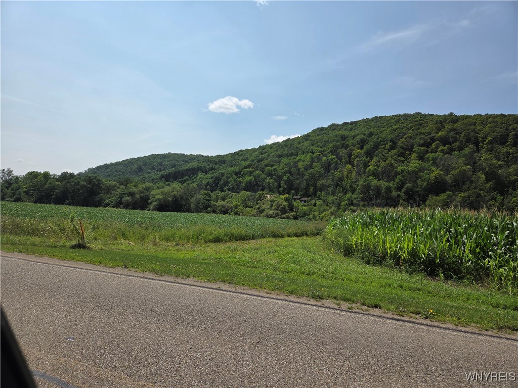 Martin Road Great Valley, NY 14741 - Photo 4 of 4