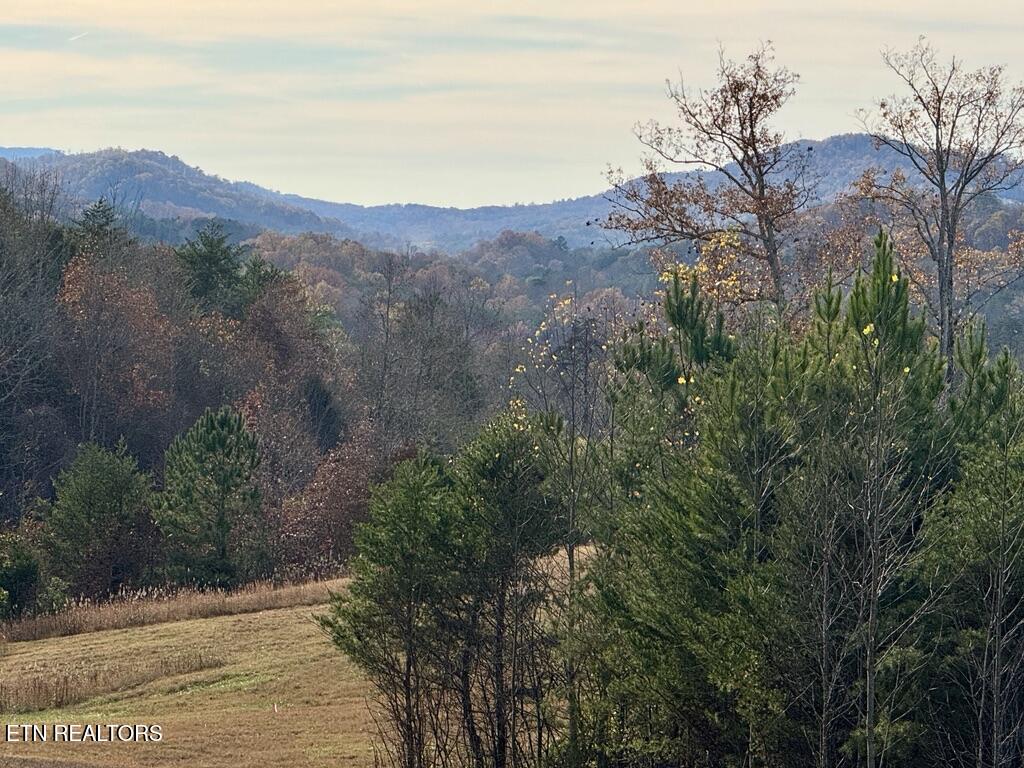1 Three Point Road Vonore, TN 37885 - Photo 1 of 15 0FB42588-1BE0-4330