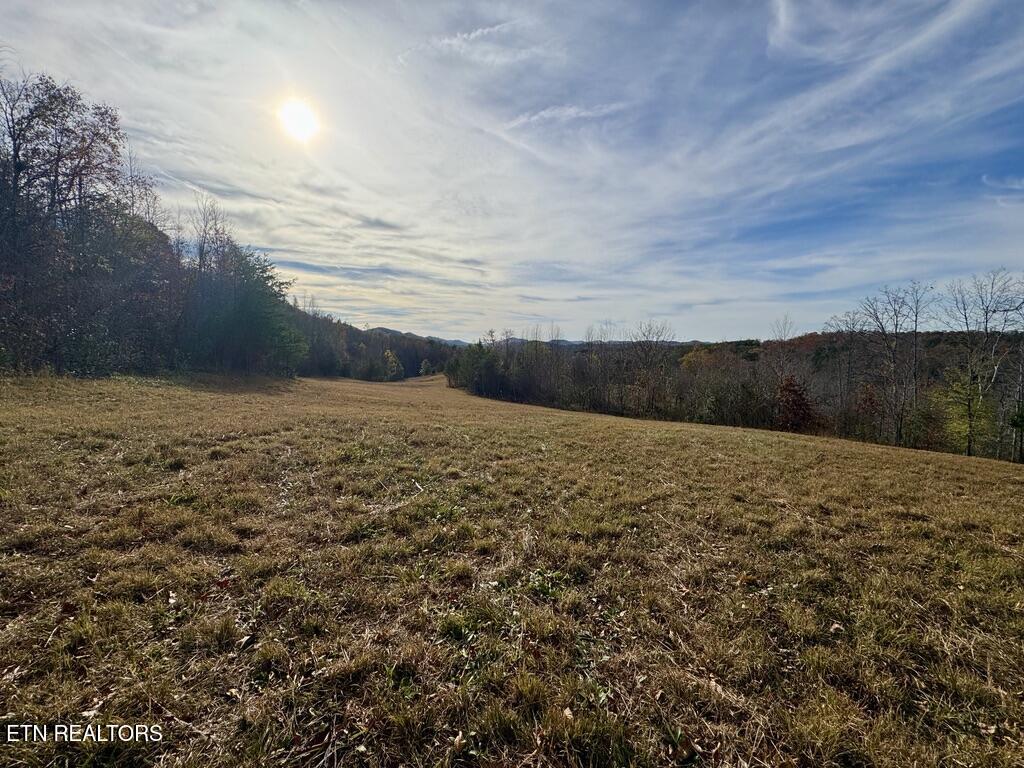 1 Three Point Road Vonore, TN 37885 - Photo 14 of 15 0F7193C5-D268-49B2-B46D-62E7A645817D_1_1