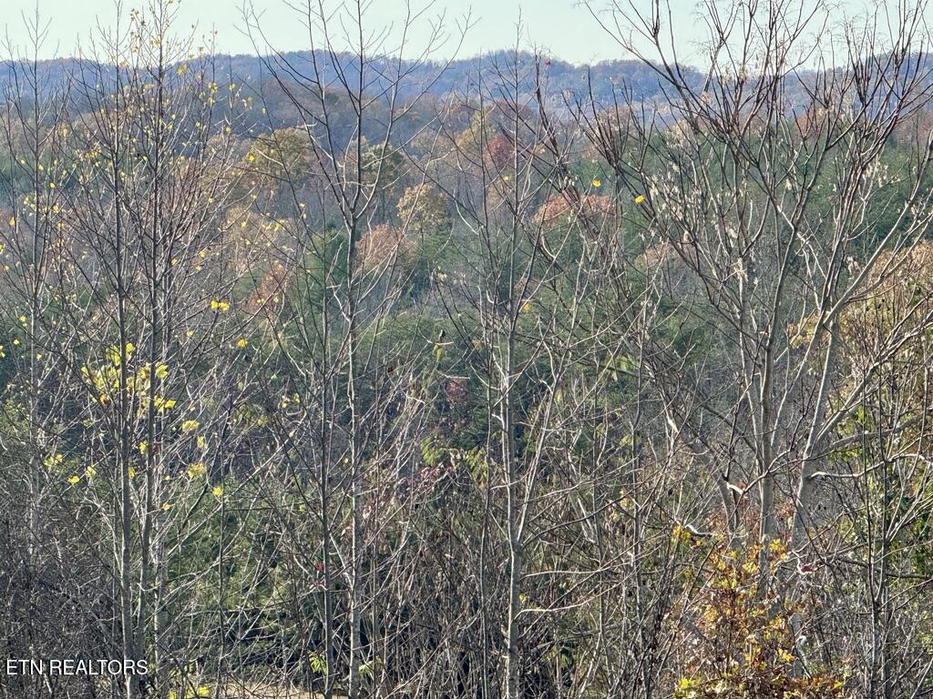 1 Three Point Road Vonore, TN 37885 - Photo 2 of 15 D47D6397-8DEF-4610-A4F6-CA34B3804032_1_1