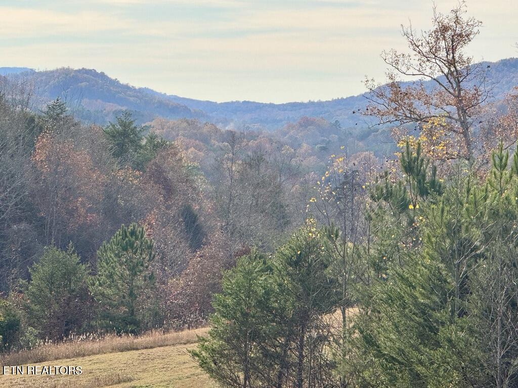 1 Three Point Road Vonore, TN 37885 - Photo 4 of 15 A8BE76E4-0FFA-473E-BB9D-55BBFFF0429A_1_1