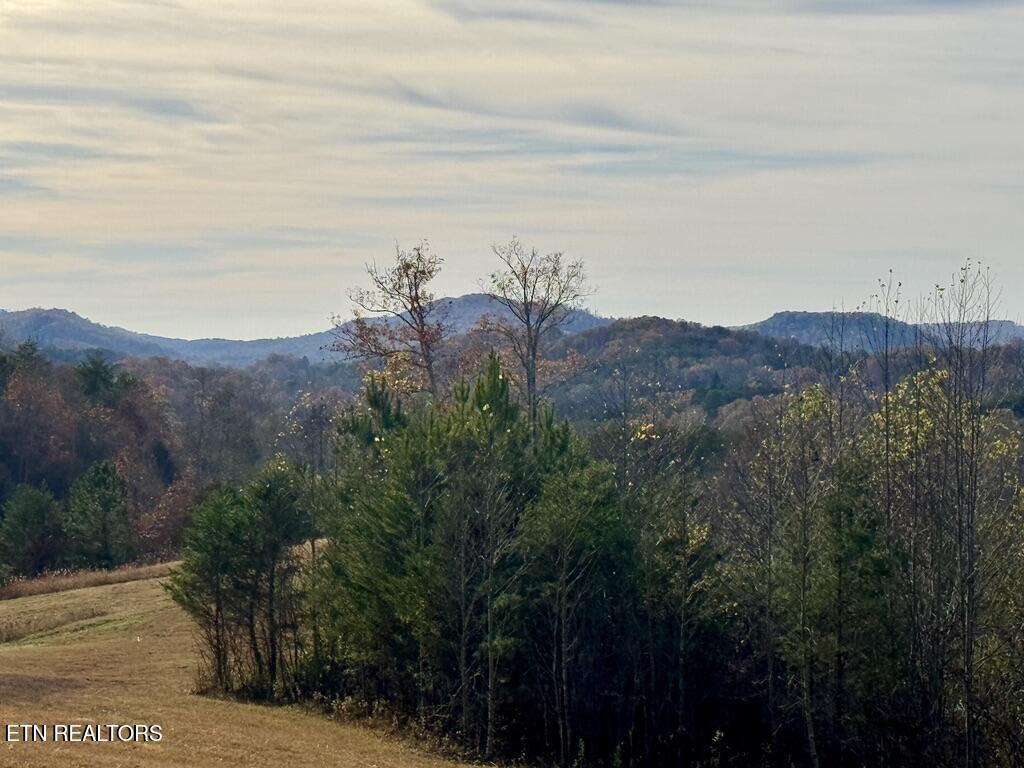 1 Three Point Road Vonore, TN 37885 - Photo 5 of 15 2C17506A-C438-46D8-87C1-F0C0A9BF3936_1_1