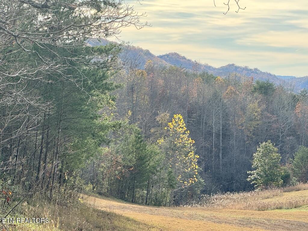 1 Three Point Road Vonore, TN 37885 - Photo 7 of 15 3758F0F3-77A1-4F63-944C-ECACE5B2CB69_1_1