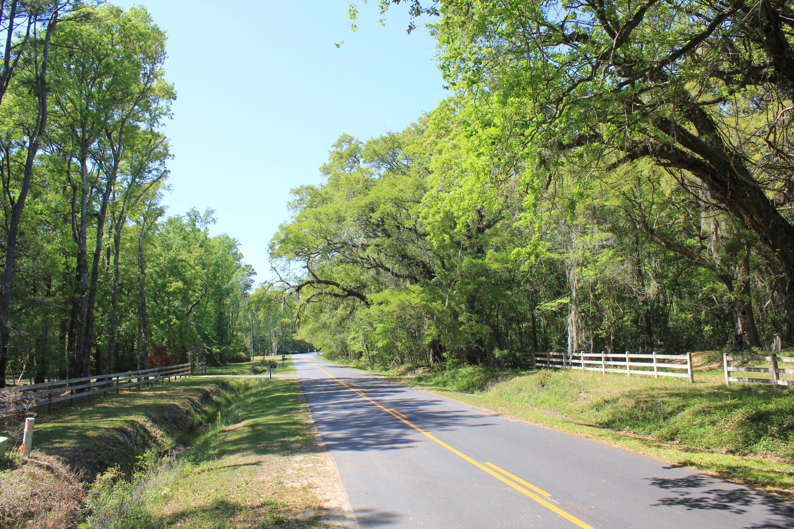 1137 15 Mile Landing Road Awendaw, SC 29429 - Photo 1 of 11 IMG_1005