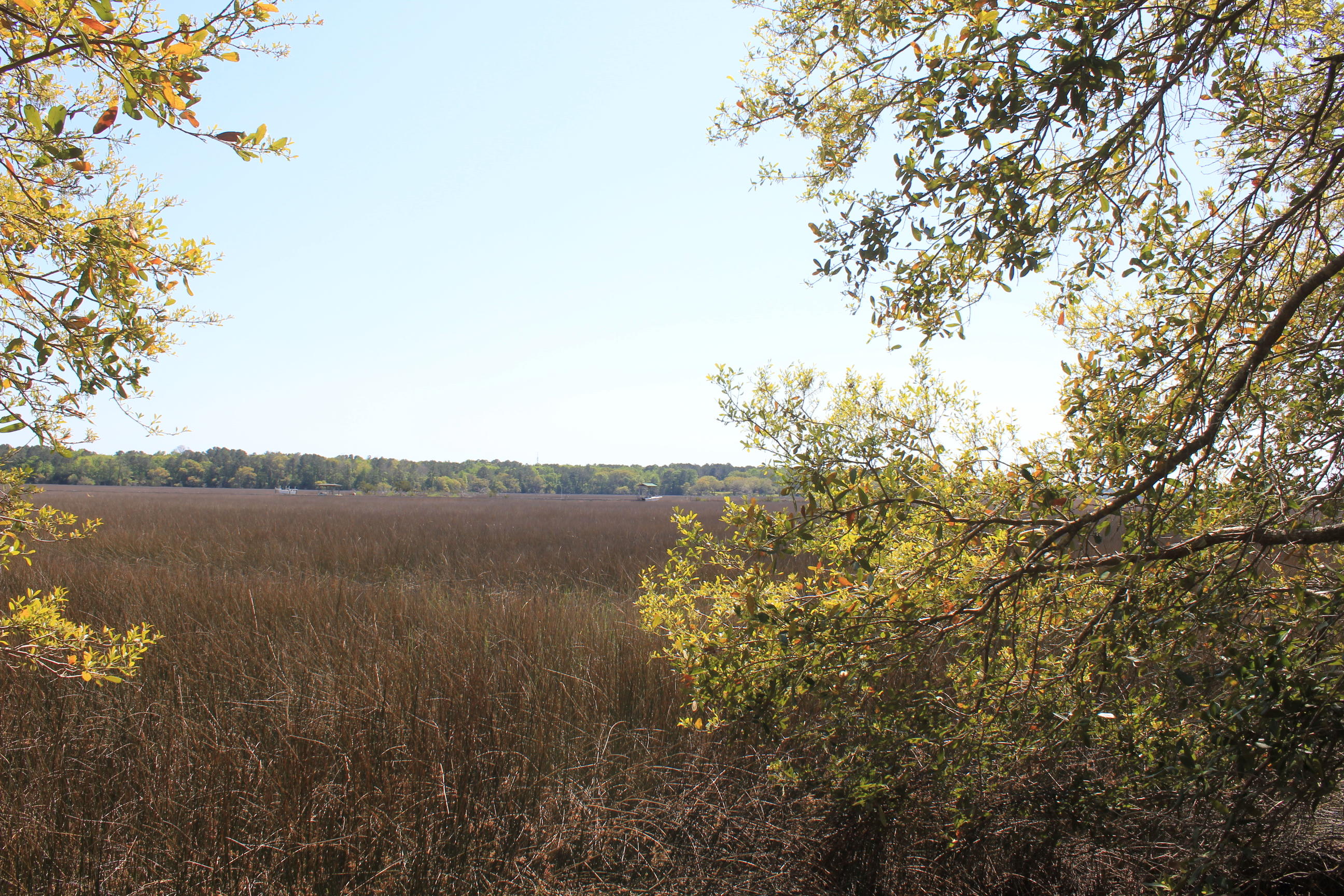 1137 15 Mile Landing Road Awendaw, SC 29429 - Photo 2 of 11 IMG_1017