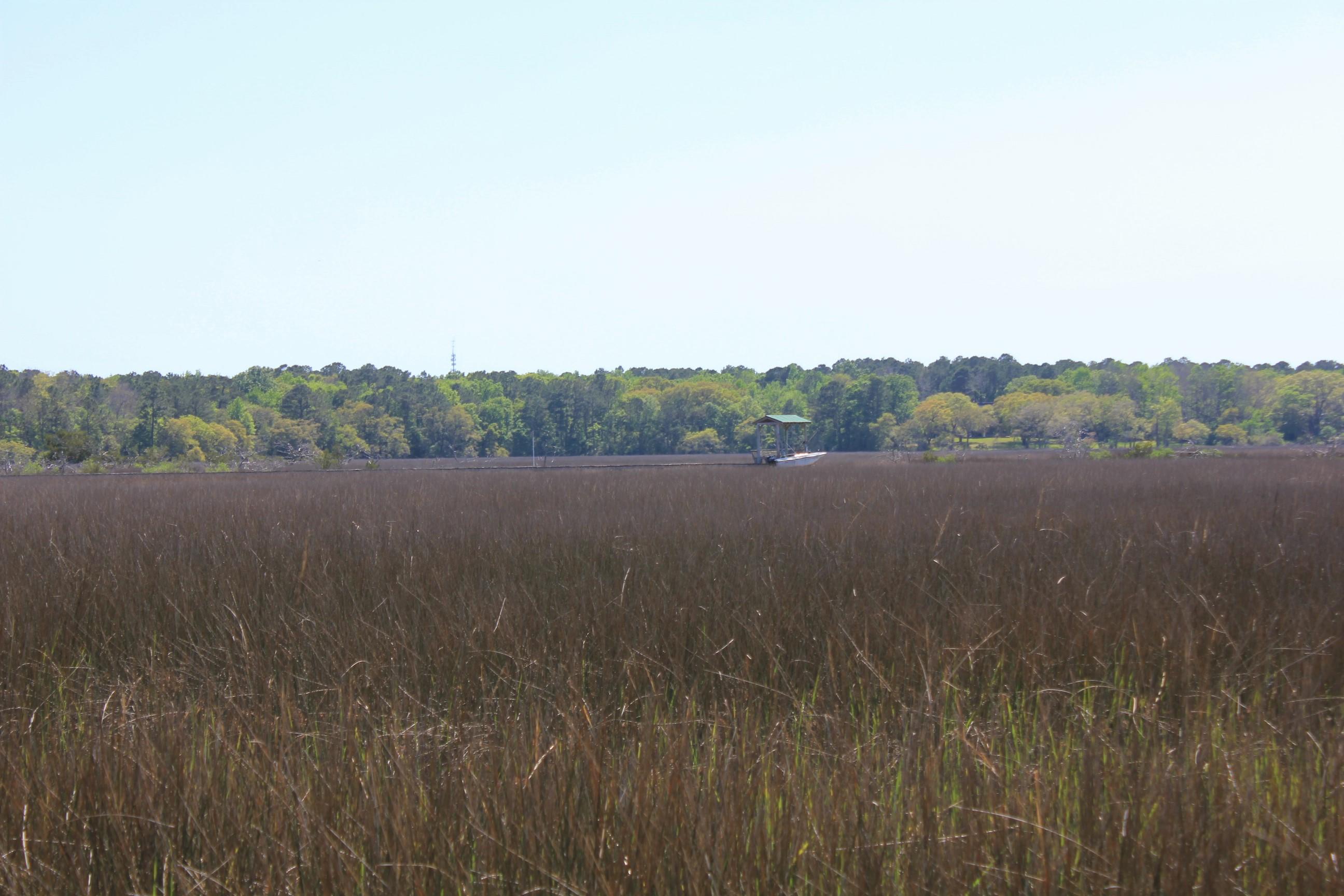 1137 15 Mile Landing Road Awendaw, SC 29429 - Photo 3 of 11 IMG_1019
