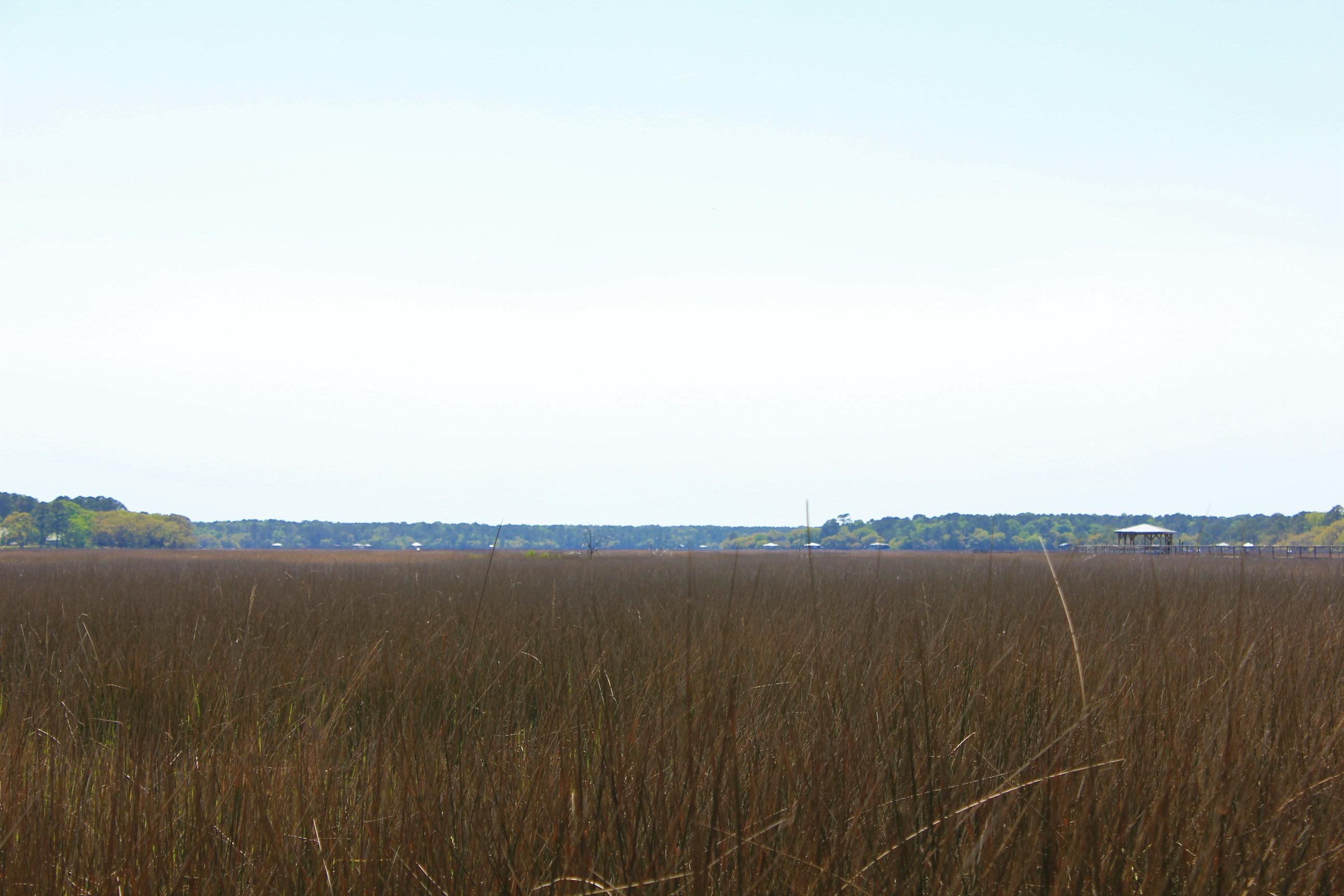 1137 15 Mile Landing Road Awendaw, SC 29429 - Photo 4 of 11 IMG_1025