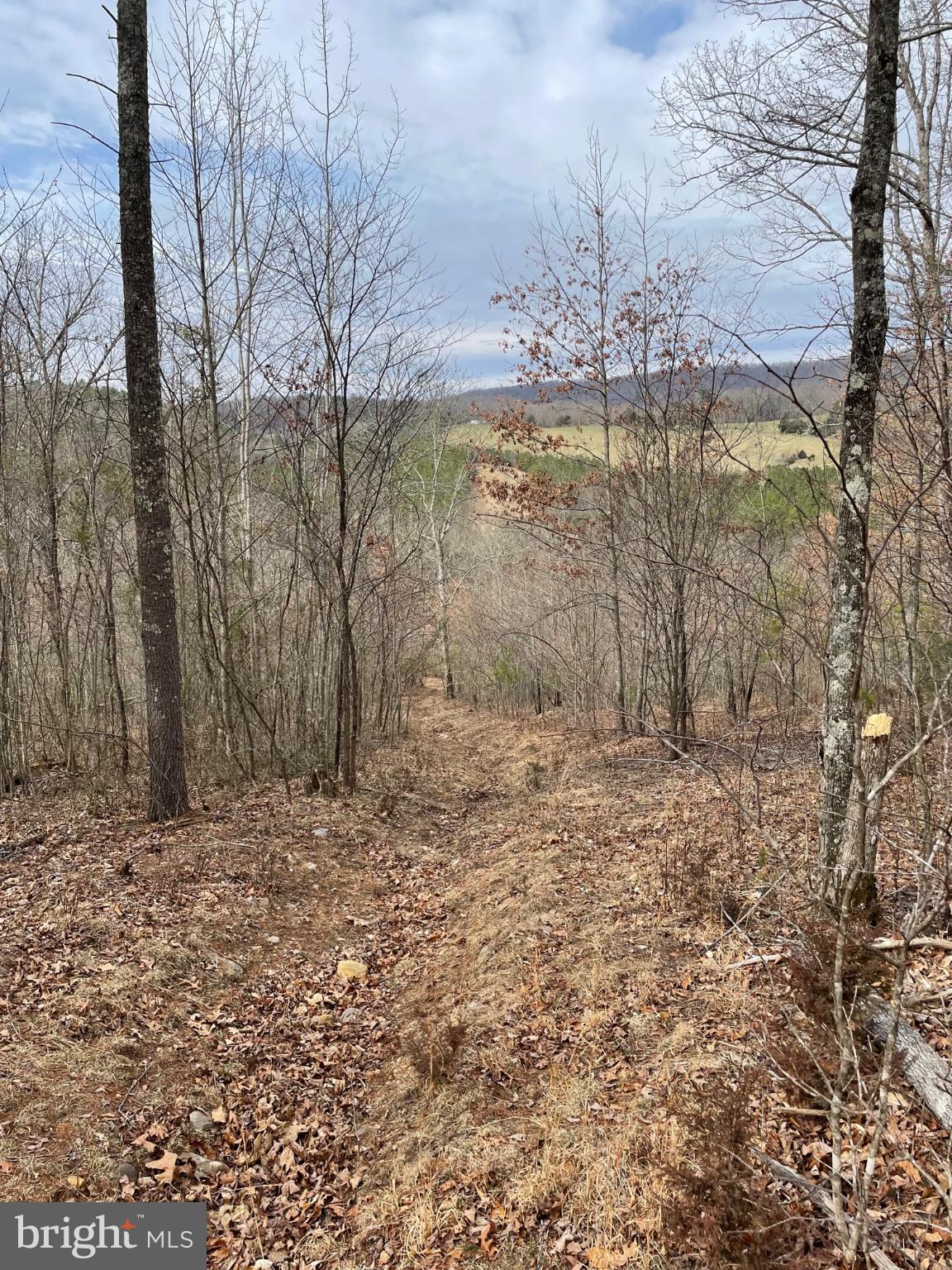 Estaline Valley Road Craigsville, VA 24430 - Photo 6 of 9 Serene woodland path leading to open fields.