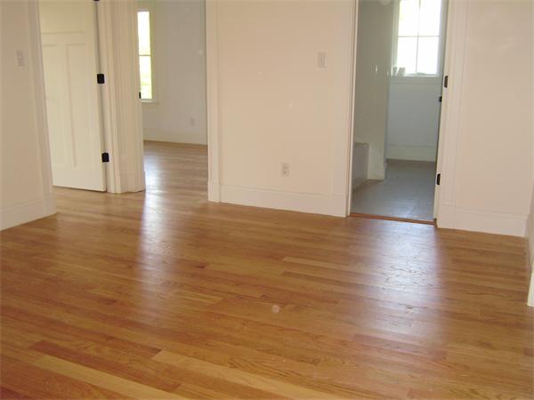 42 Clovelly Road Wellesley, MA 02481 - Photo 17 of 25 Gallery Image 17