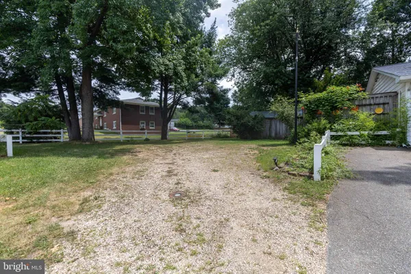 a view of a yard with plants and trees