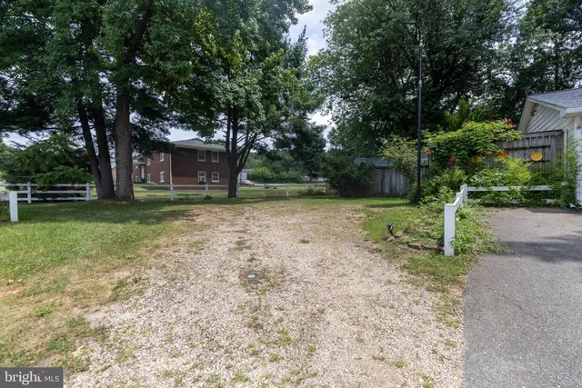 a view of a yard with plants and trees