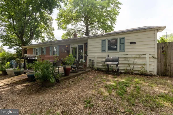 a view of a yard with a large tree