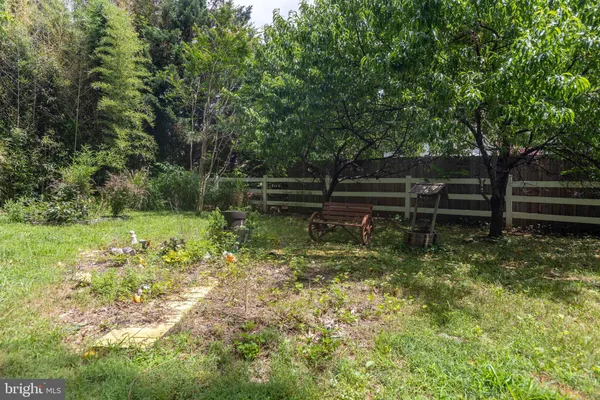 a view of a garden