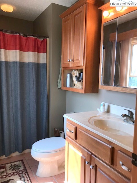 990 Fox Meadow Road Banner Elk, NC 28604 - Photo 30 of 45 a bathroom with a sink and a mirror