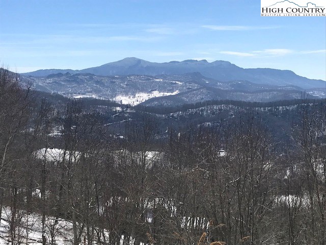 990 Fox Meadow Road Banner Elk, NC 28604 - Photo 43 of 45 a view of city and mountain