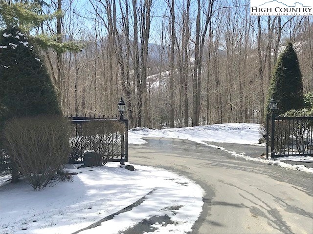 990 Fox Meadow Road Banner Elk, NC 28604 - Photo 44 of 45