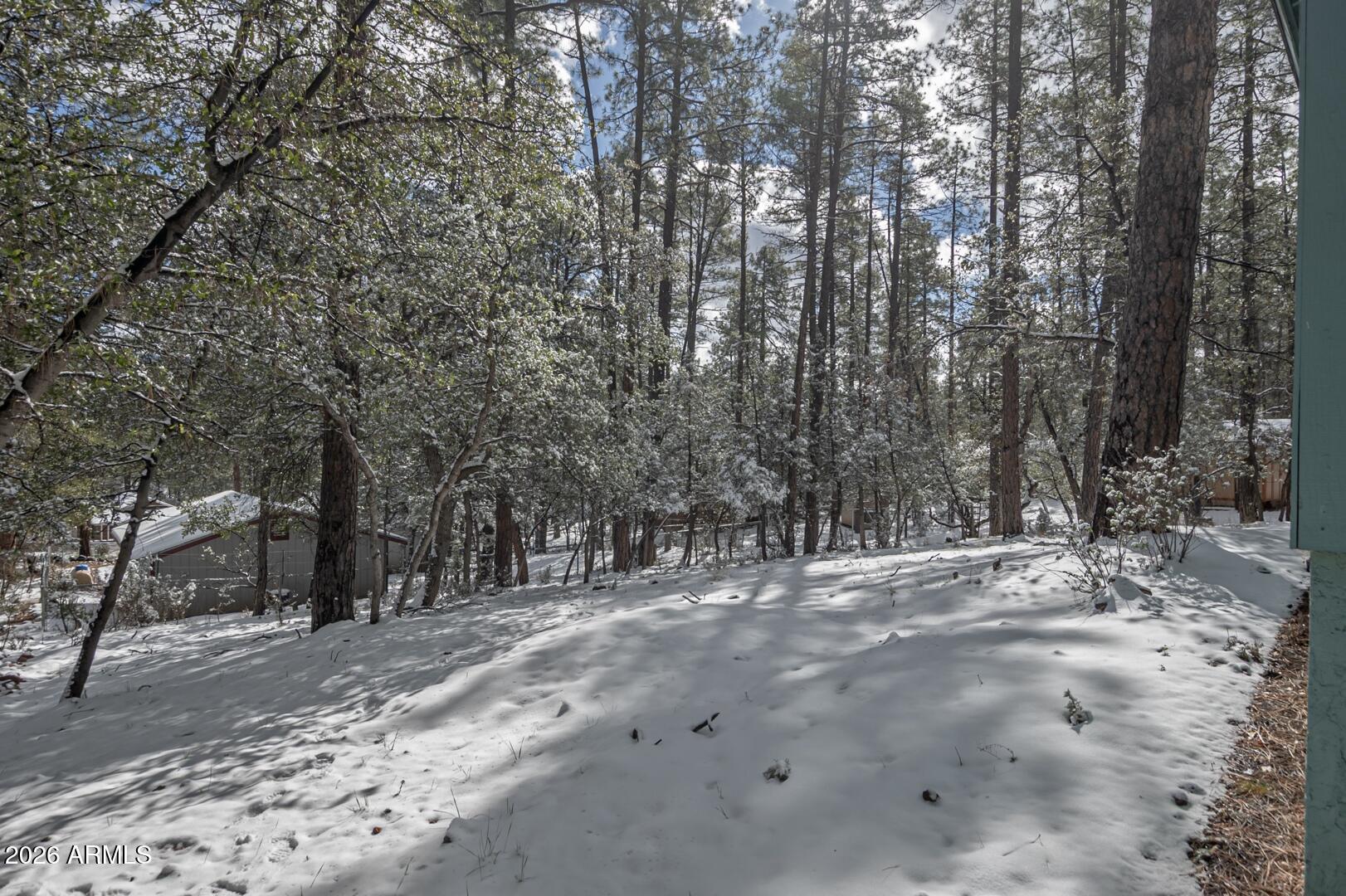 3741 Cochise Lane Pine, AZ 85544 - Photo 20 of 21 a view of outdoor space and yard