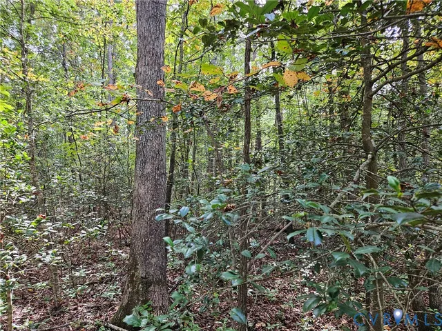 $94,900 | 0 Long Branch Road, Woodford, VA 22580