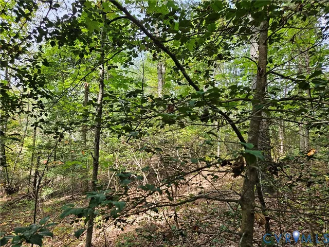 $94,900 | 0 Long Branch Road, Woodford, VA 22580