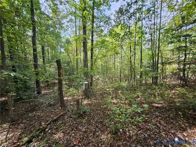 $94,900 | 0 Long Branch Road, Woodford, VA 22580
