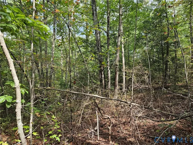 $94,900 | 0 Long Branch Road, Woodford, VA 22580