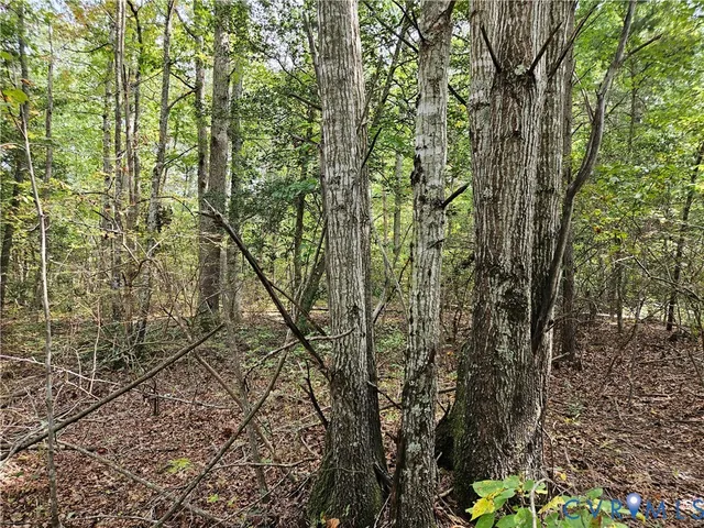 $94,900 | 0 Long Branch Road, Woodford, VA 22580