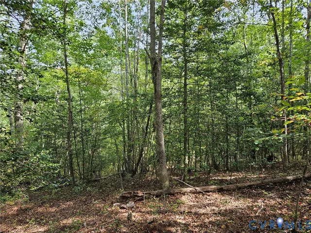 $94,900 | 0 Long Branch Road, Woodford, VA 22580