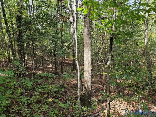 $94,900 | 0 Long Branch Road, Woodford, VA 22580