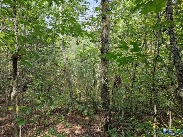 $94,900 | 0 Long Branch Road, Woodford, VA 22580