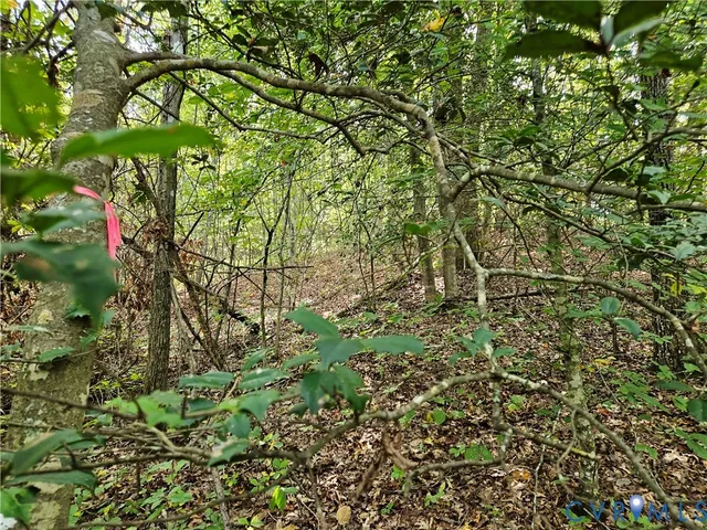 $94,900 | 0 Long Branch Road, Woodford, VA 22580