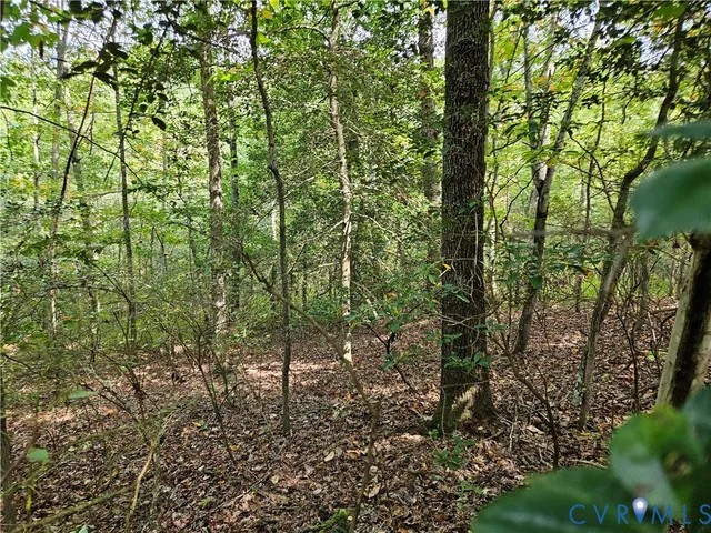 $94,900 | 0 Long Branch Road, Woodford, VA 22580