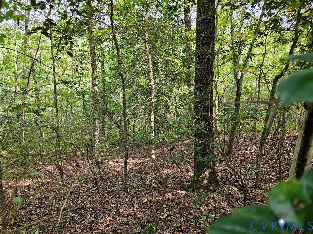 0 Long Branch Road Woodford, VA 22580 - Photo 31 of 33 View of tree filled area