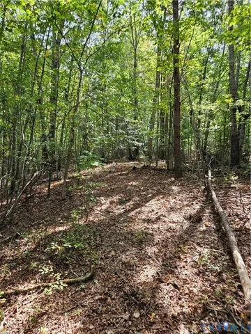 $94,900 | 0 Long Branch Road, Woodford, VA 22580