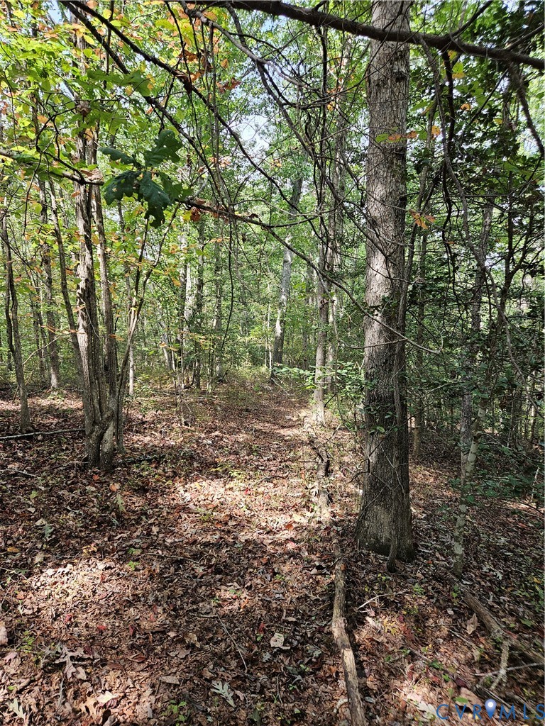 0 Long Branch Road Woodford, VA 22580 - Photo 33 of 33 a view of a forest with trees