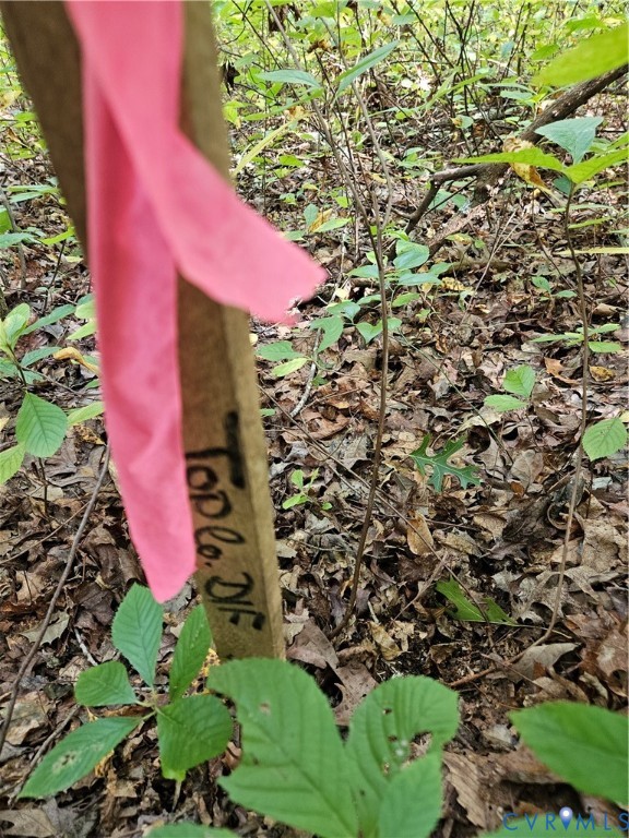 0 Long Branch Road Woodford, VA 22580 - Photo 4 of 33 Exterior view