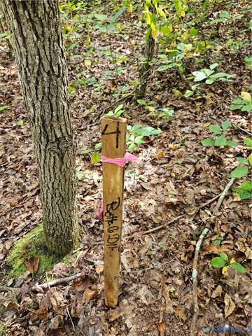 $94,900 | 0 Long Branch Road, Woodford, VA 22580