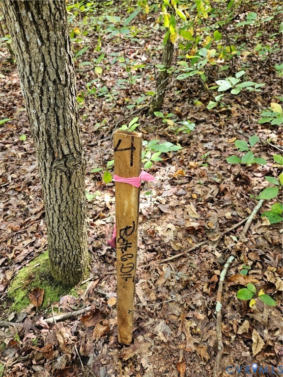 0 Long Branch Road Woodford, VA 22580 - Photo 5 of 33 Exterior view